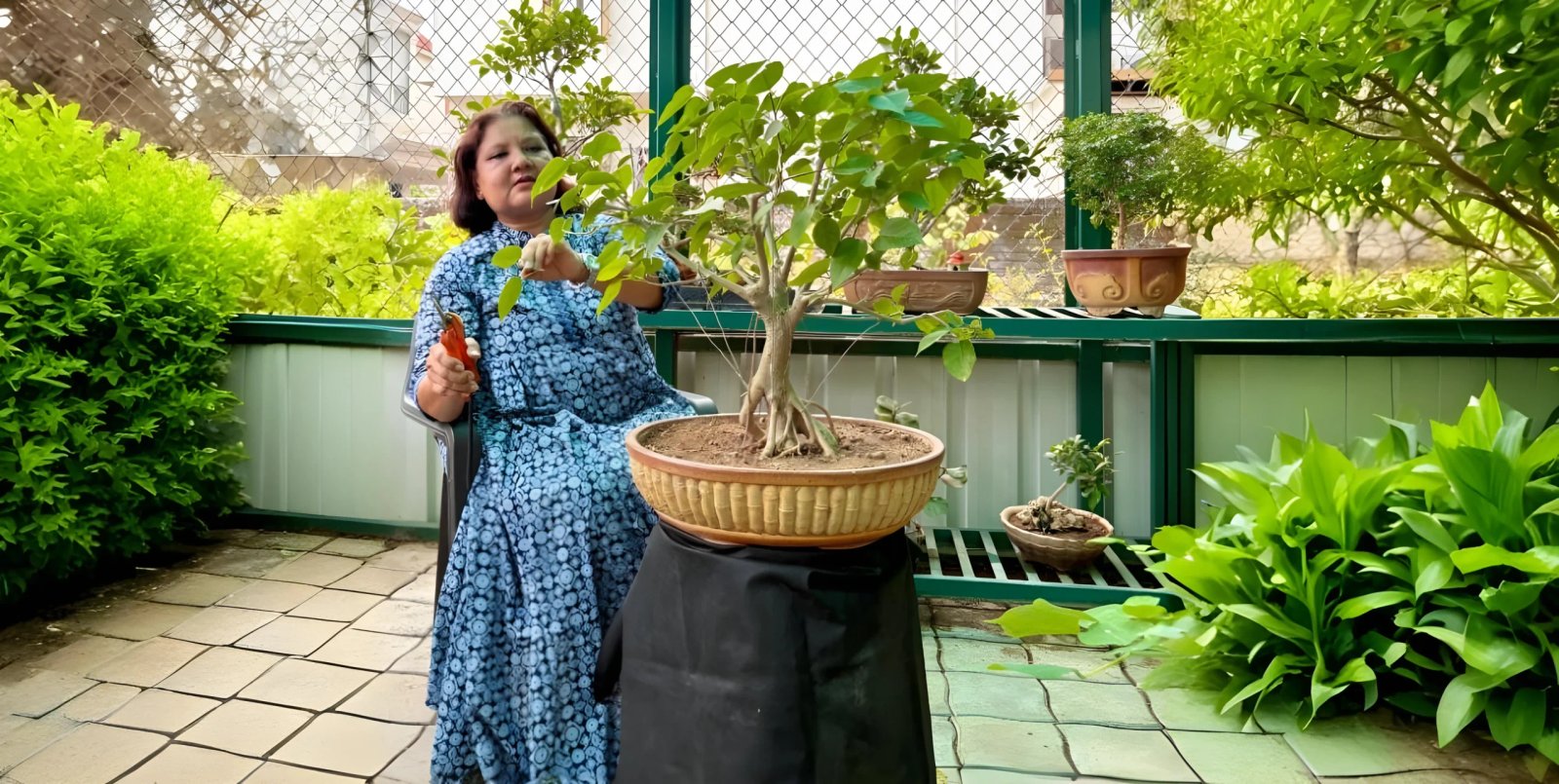 Garden Maintenance Services